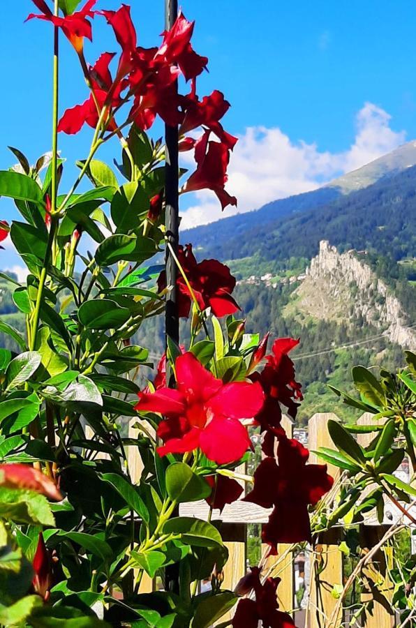 Appartamento Burg Laudegg Blick Faggen Esterno foto